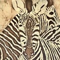 Zebras